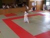 Gleichgewichtsbrechung für Ippon-seoi-nage