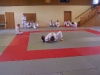 hier schon bei der Mune-gatame