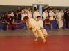 153__DSC7604.jpg