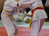 494_Bild025