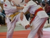 496_Bild027