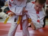 497_Bild028