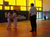 224_Fritz2