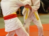 392__DSC07731