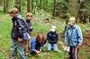 Spiele im Wald