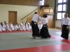Die Aikidoka in Aktion